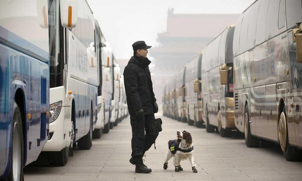 2016两会：萌犬穿“黑靴”执勤       2016年全国两会在北京开幕。记者用镜头记录下两会精彩的一幕。在北京人民大会堂前，警犬在警卫人员的牵引下，穿着黑色“小靴”执勤。