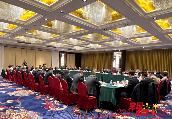 环境资源界举行界别小组会议。人民网记者 杜燕飞摄