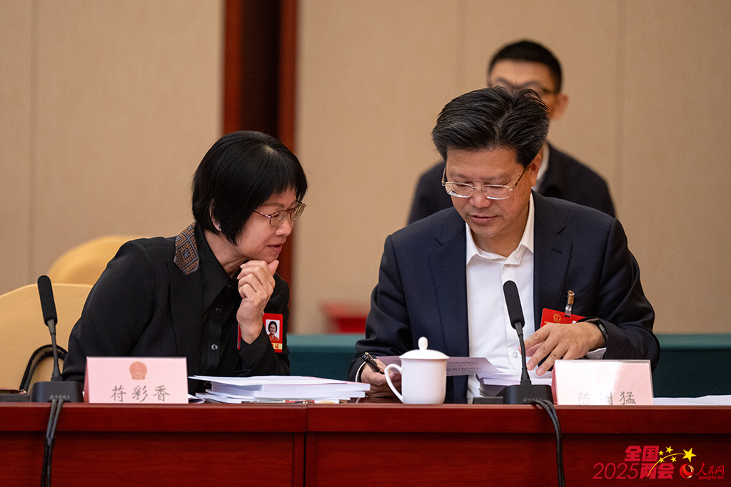 3月6日，海南代表团苻彩香代表（左）与陈国猛代表正在讨论政府工作报告。人民网记者 翁奇羽摄