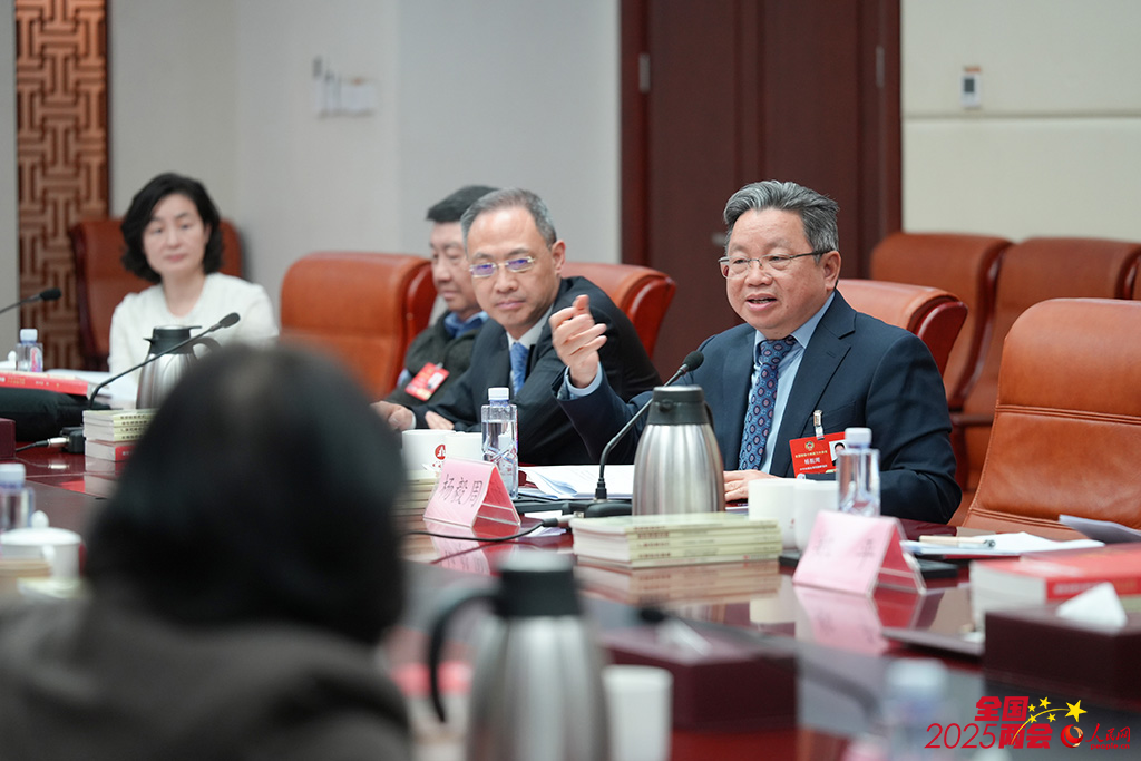 政协委员杨毅周在小组会议上发言。人民网记者 苗子健摄