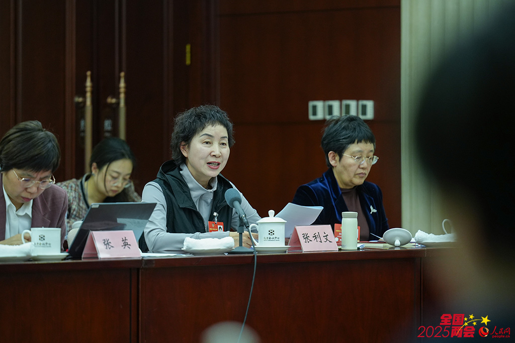 政协委员张利文在小组会议上发言。人民网记者 苗子健摄