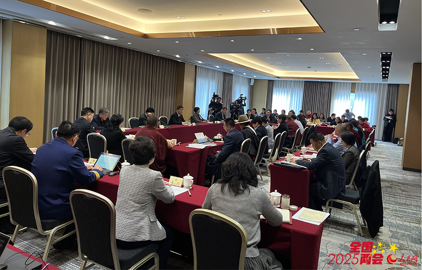 少数民族界举行界别小组会议。人民网记者 张敏颖摄