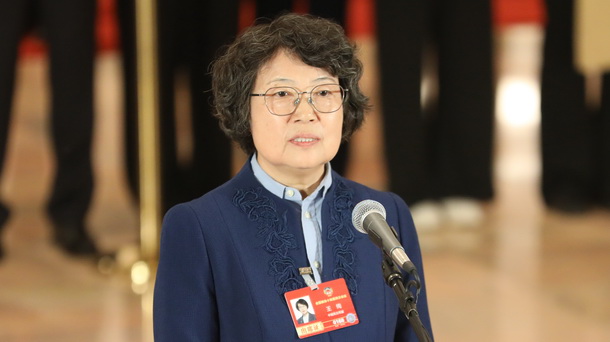 全国政协委员王绚接受媒体采访