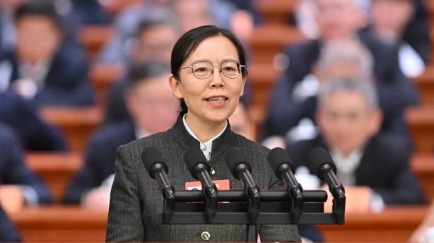 陈星莺委员发言