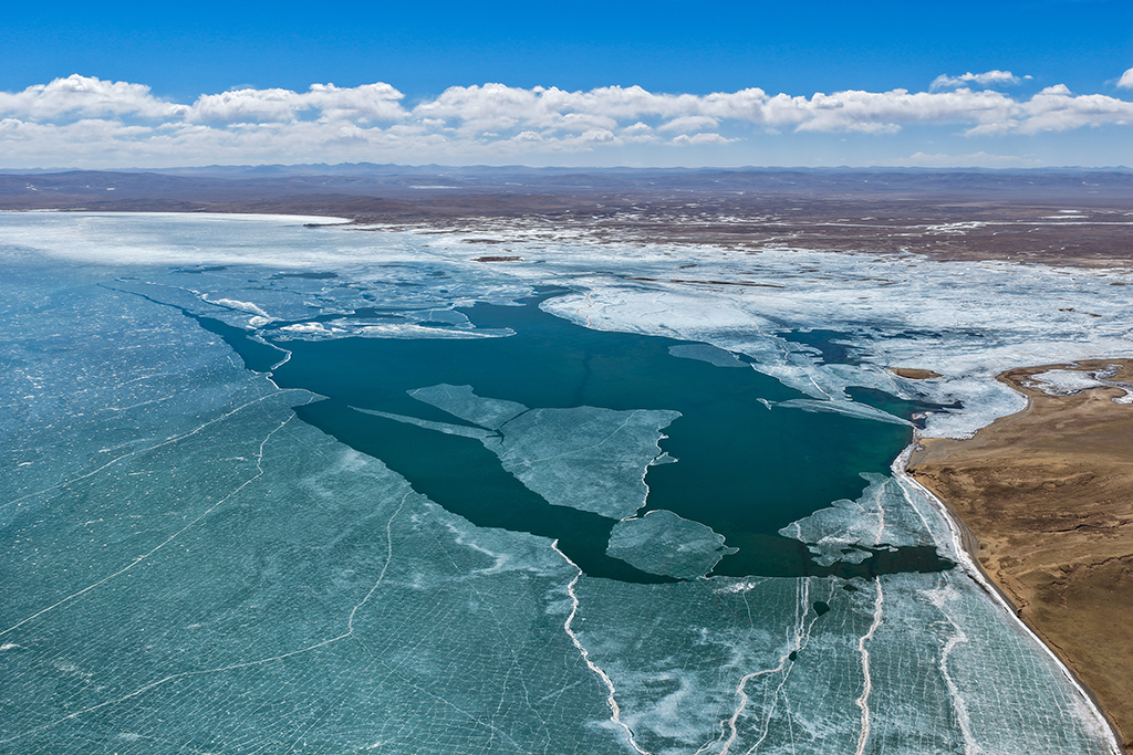 机器人“保姆”，何时来咱家？